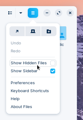 Hide hidden files