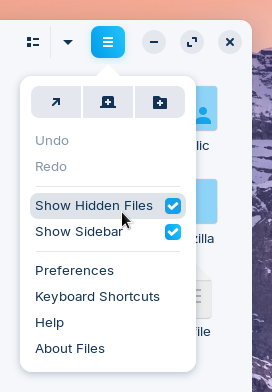 Show hidden files